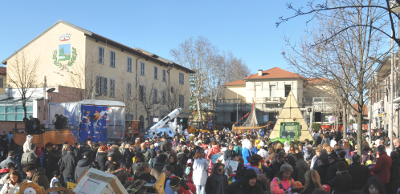 Immagine del carnevale 2010